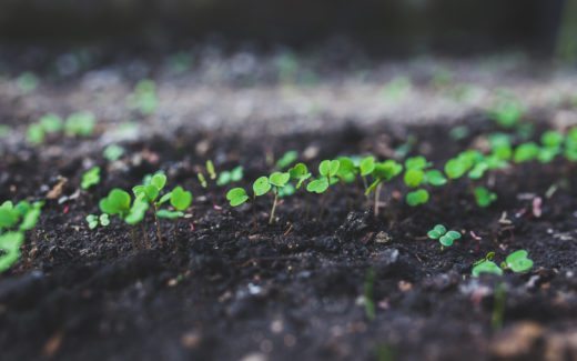 How to Jumpstart Your Social Media Growth