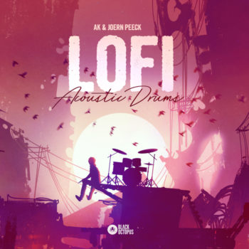 Black Octopus Sound - Lofi Acoustic Drums by AK & Joern Peeck - Artwork 1000